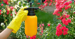 best insecticides for vegetable gardens