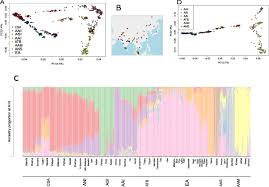 If you're taking on the challenge of building a detailed autosomal dna testing can tell you about your ethnicity and find matches to living relatives within the past five generations. Insights Into The Demographic History Of Asia From Common Ancestry And Admixture In The Genomic Landscape Of Present Day Austroasiatic Speakers Springerlink