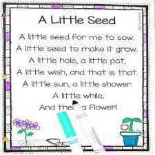 20 fun flower poems for kids little