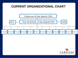 Carnival Cruise Organizational Structure Homework Example