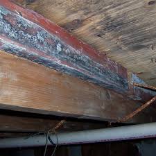 Repair Wood Damage In Ohio