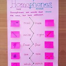 Homophones Spelling Anchor Chart Ela Anchor Charts