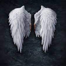 angel wings wallpapers hd art pictures