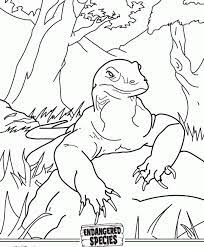 Although, its population is considered stable with about 5000 the komodo dragon is not exactly a dragon. Komodo Dragon Coloring Pages Coloring Home