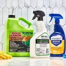 How To Get Rid Of Mold From Every Home