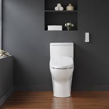 Ove Decors Felix 1.59 GPF Elongated Floor Mounted Bidet Toilet (Seat  Included) & Reviews | Wayfair