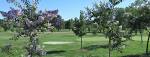 Indian Creek Country Club | Visit Placer