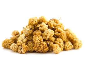 white mulberry a natural treatment