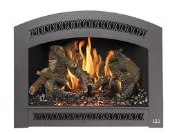 Industry Leading Gas Fireplaces Gas