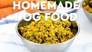 30 minute stovetop homemade dog food