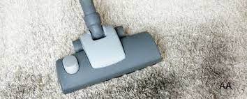 will carpet cleaner kill mold