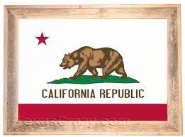 California State Flag Framed 2 X 3 And
