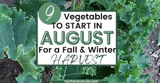 August For Fall And Winter Harvest