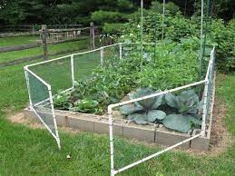 Garden Fencing Fenced Vegetable Garden