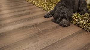 top 10 bamboo flooring myths facts cali