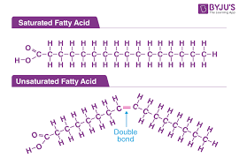 fatty acid groups what are fatty