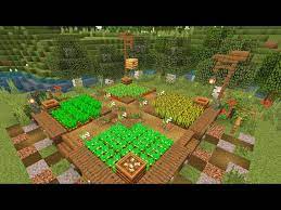 build a vegetable garden in minecraft