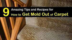 9 amazing ways to get mold out of carpet