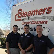 steamers carpet cleaners 21 photos