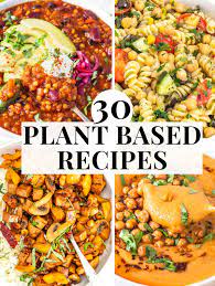 easy plant based recipes 30 ideas to try