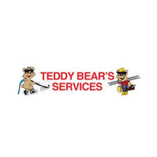 teddy bear services laundry service