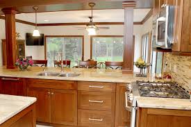 choosing kitchen cabinet s and