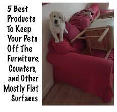 pets off furniture counters