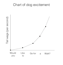 Chart Of Dog Excitement Would Like Go For Walk You To Dog