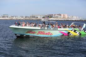 original sea blaster dolphin tours