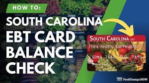 south carolina ebt balance check
