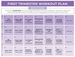 first trimester workout plan free pdf