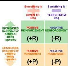 Reinforcement Chart Operant Conditioning Ap Psychology