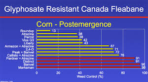 Glyphosate Resistant Weeds In Ontario Top Crop Manager