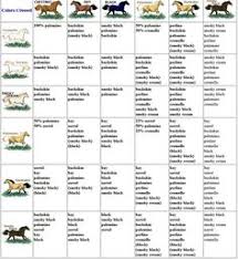 40 Best Horse Color Chart Images In 2019 Horse Color Chart