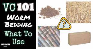 Worm Bedding 9 Awesome Choices