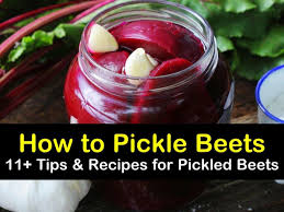 11 versatile ways to pickle beets