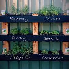 recycled wood pallet garden ideas to diy