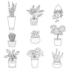 Potted Plants Outline In Linear Drawing