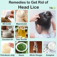 how to get rid of head lice 10 tips
