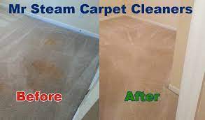 mr steam carpet cleaners