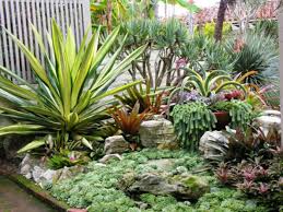 How To Grow A Succulent Garden World