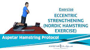 eccentric nordic hamstring