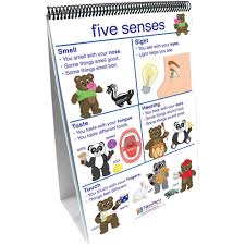 Flip Charts All About Me Early Childhood Science Readiness
