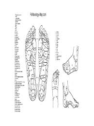 Acupressure And Massage Chart 8 Free Templates In Pdf