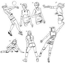 In the volleyball, hinata meets a wide variety of characters. Pin By Lang Eszter On Drawings Sports Illustrations Art Body Pose Drawing Volleyball Drawing
