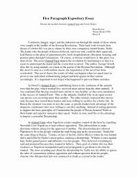 how to write an expository essay fast mistyhamel example of a great expository essay poemsrom co