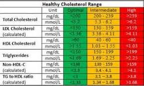 High Cholesterol Numbers Chart Men Bing Images Healthy