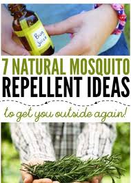 7 natural mosquito repellent ideas so
