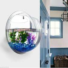 Acrylic Wall Mounted Hanging Fish Bowl Aquarium Tank Beta Goldfish Plants  Modern | eBay gambar png