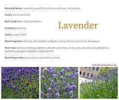 Check spelling or type a new query. Benefits Of Lavender Herb